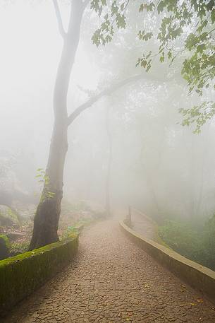 Path that leads to the castle of Mouros