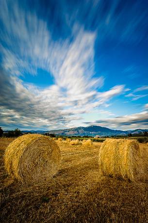 Bales of Hay