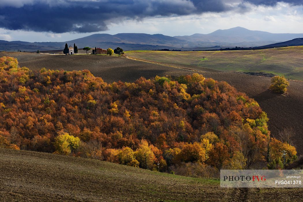 Typical Orcia Valley autumnal landscape with Vitaleta church between Pienza and San Quirico d'Orcia villages, Tuscany, Italy, Europe
