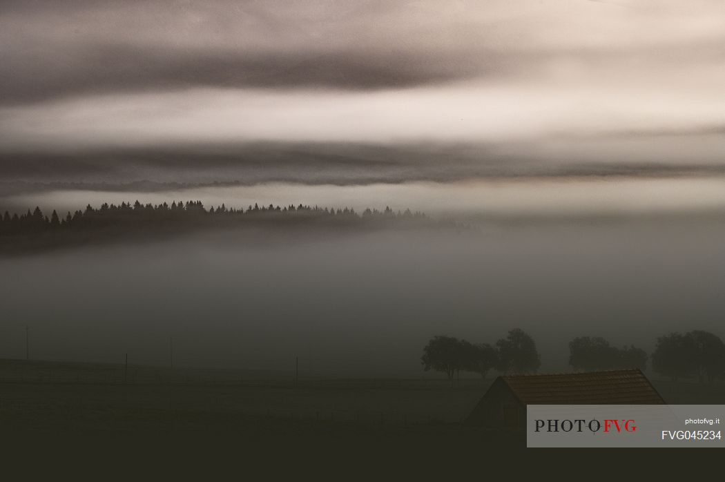 The Cansiglio plateau shrouded in fog in the early hours of the day, Cansiglio, alps, Veneto, Italy, Europe