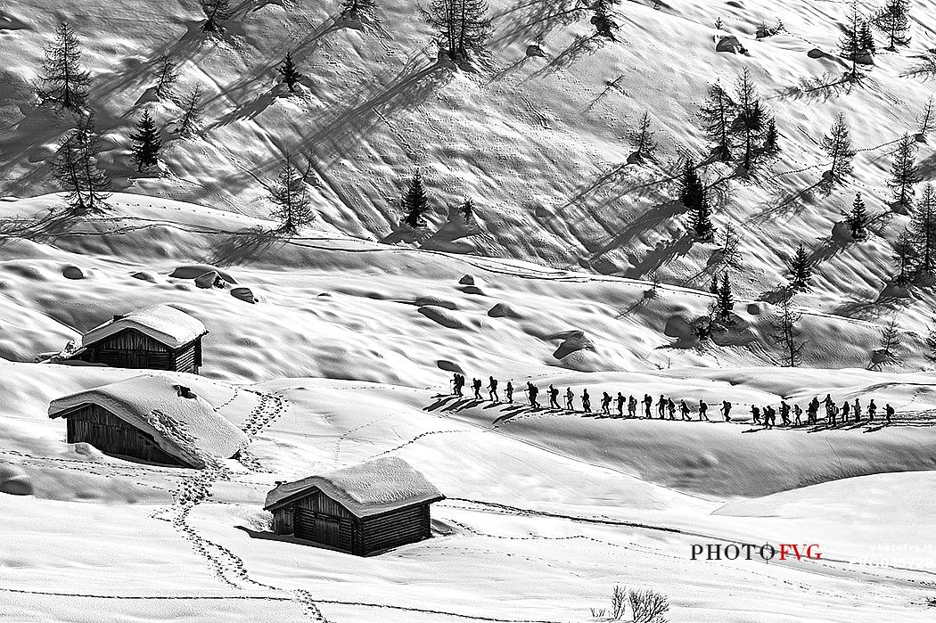 Row of hikers climb on the Fedare slope towards the Averau mount, Cortina d'Ampezzo, dolomites, Veneto, Italy, Europe