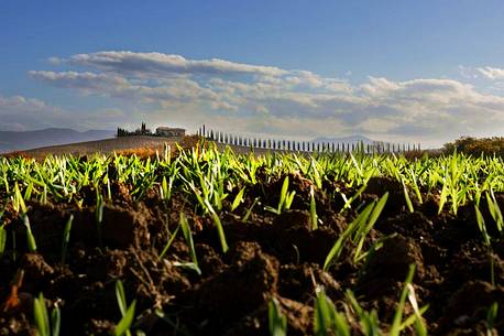 Poggiocovili, a pearl of the Val d'Orcia in a fresh autumn morning, Orcia valley, Tuscany, Italy, Europe