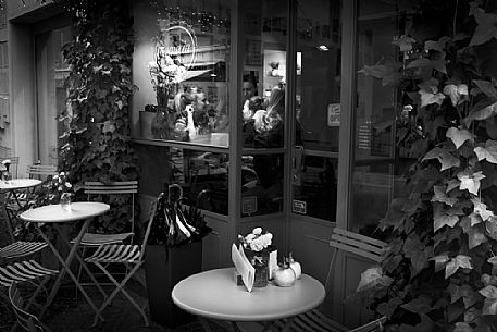 Young women relaxing chatting talking in coffee shop of Treviso town, Veneto, Italy, Europe