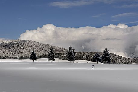 Cross country skiing in the Cansiglio plateau, Veneto, Italy, Europe