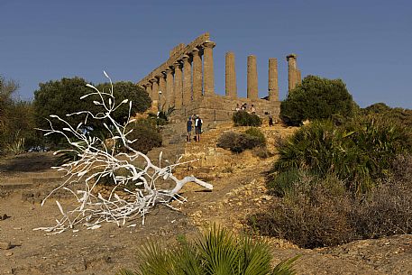 Temple of Juno in the Valley of the Temples or valle dei Templi, Agrigento, Sicily, Italy, Europe