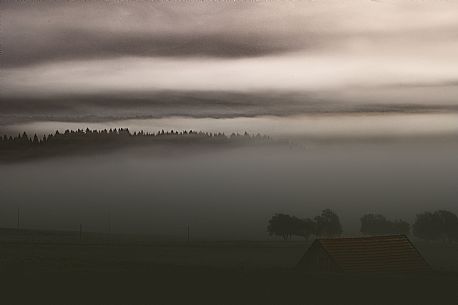 The Cansiglio plateau shrouded in fog in the early hours of the day, Cansiglio, alps, Veneto, Italy, Europe