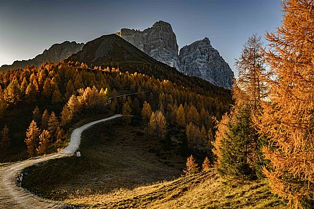 Autumnal landscape in dolomites, the Pelmo mountain in the background, Col Roan, dolomites, Veneto, Italy, Europe