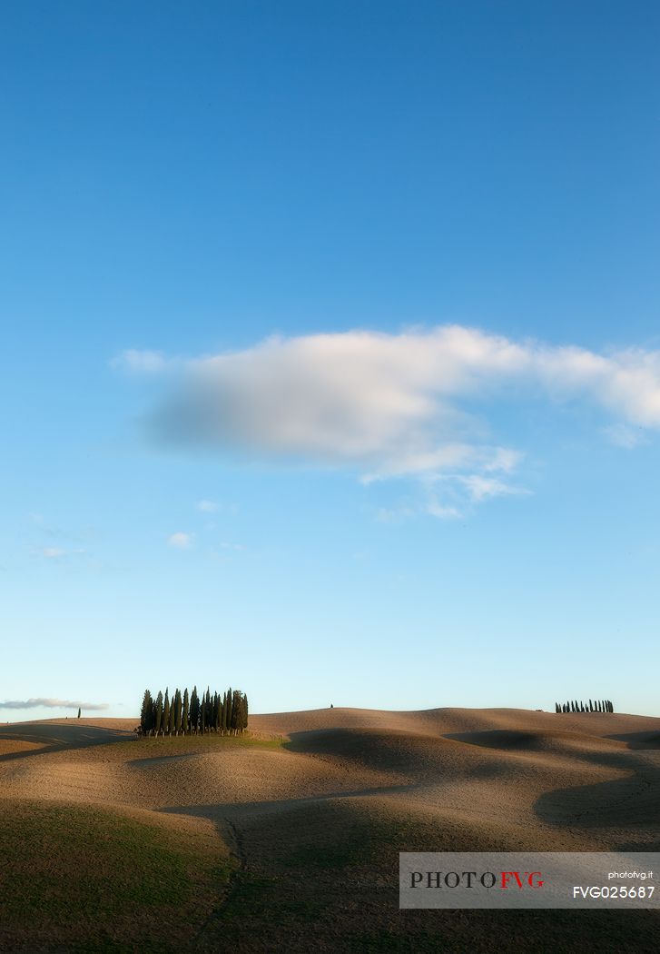 Cypress hills, San Quirico D'Orcia, Tuscany, Italy