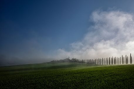 Countryside farm Poggio Covili,  San Quirico D'Orcia, Tuscany, Italy