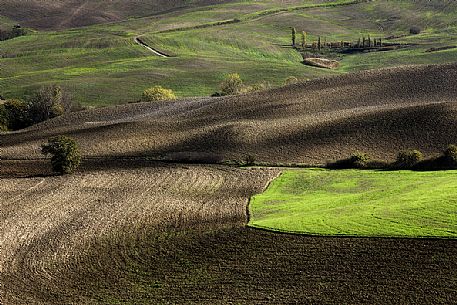 Fields hills in Orcia Valley, Tuscany, Italy