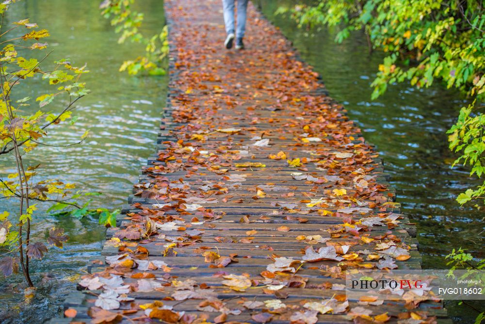 Plitvice National Park