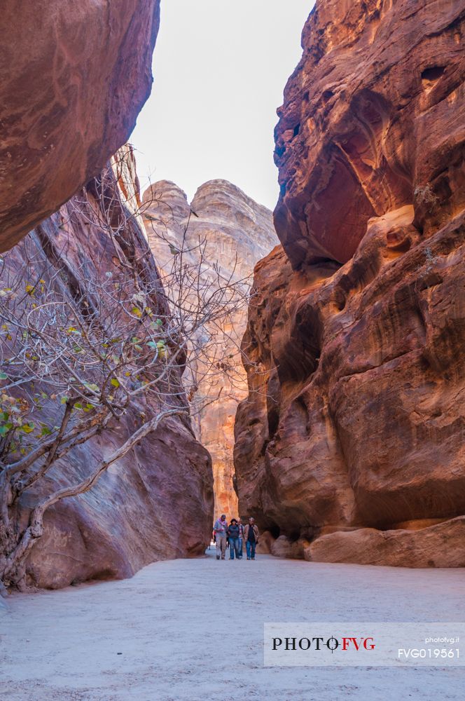 Tourists hiking in the canyon near the old village of Petra, Jordan