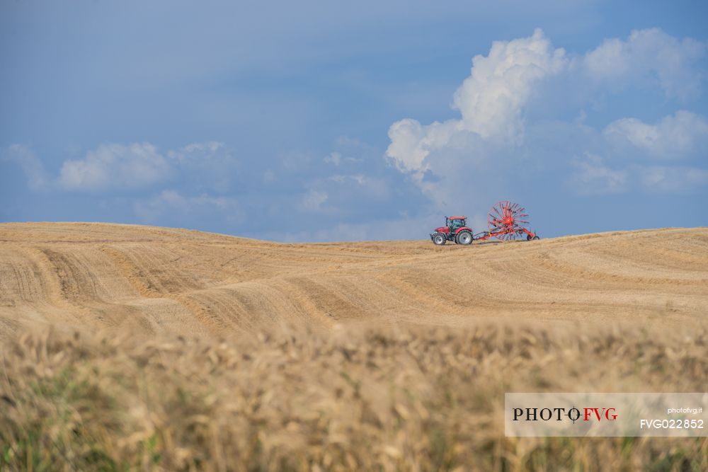 Country work in Orcia valley, Tuscany, Italy