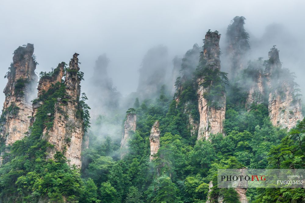 Natural landscape of Zhangjiajie National Forest Park, Hunan, China