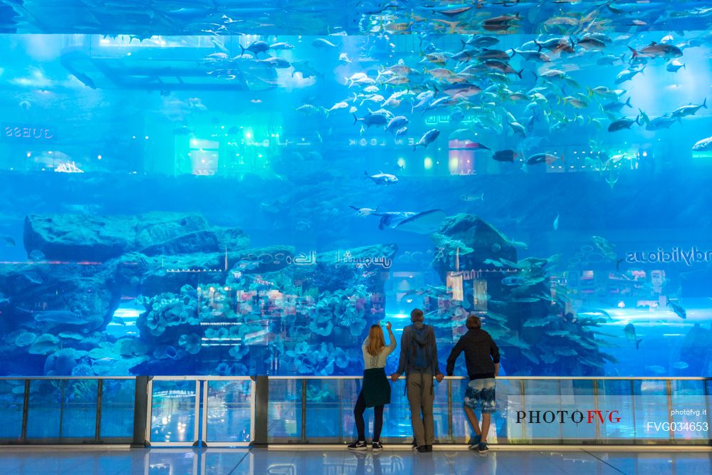 Visitors at the Aquarium inside Dubai Mall, Dubai city, United Arab Emirates, Asia