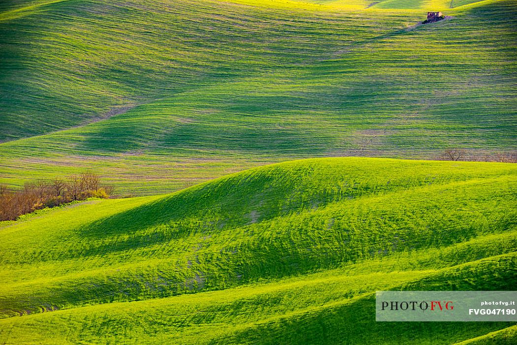 Typical Tuscan rolling landscape near Volterra, Tuscany, Italy, Europe