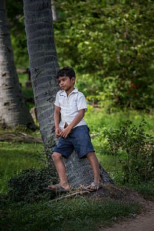 Young child under a tree