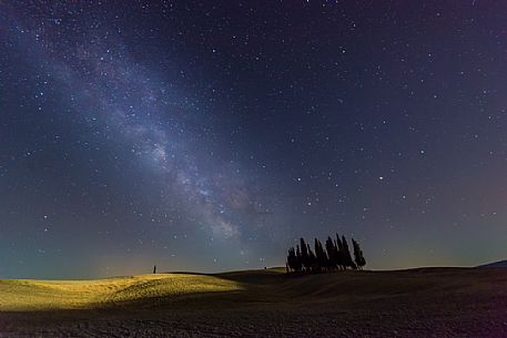 Milky way on cypress of San Quirico d'Orcia, Tuscany, Italy