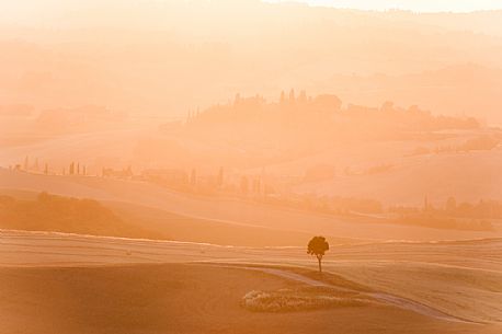 Foggy sunrise in the Crete Senesi landscapes, Orcia valley, Tuscany, Italy