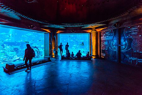 Visitors watching the aquarium in the Atlantis Hotel on the Jumeirah Palm island, Dubai city, United Arab Emirates, Asia