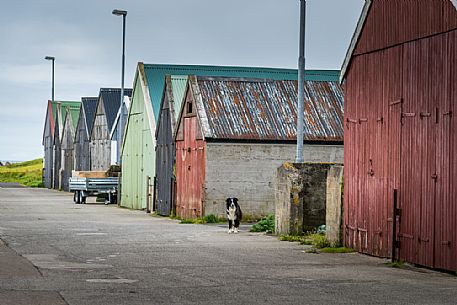 Vintage house in Fmjin village, Suouroy island, Faeroe Islands, Denmark, Europe