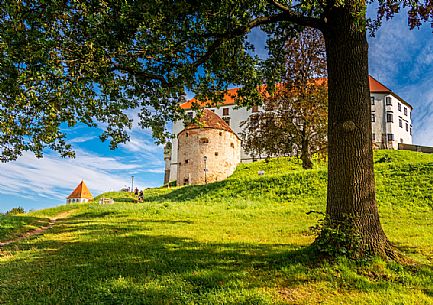 Ptuj Castle, Ptuj, Slovenia, Europe