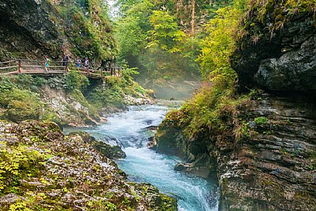 Vintgar Gorge, Triglav National Park, Bled, Slovenia, Europe