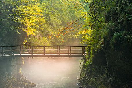 Wooden bridge in the Vintgar Gorge, Triglav National Park, Bled, Slovenia, Europe