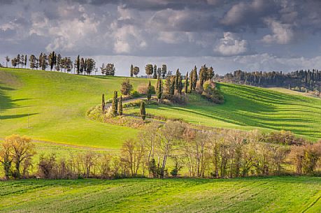 Typical Tuscan landscape near Volterra, Tuscany, Italy, Europe