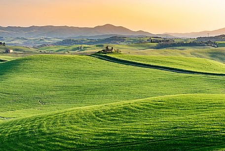 Typical Tuscan landscape near Volterra, Tuscany, Italy, Europe