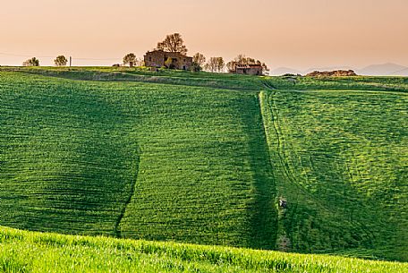 Typical Tuscan landscape near Volterra, Tuscany, Italy, Europe