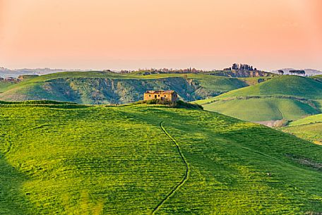 Typical Tuscan landscape near Volterra, Tuscany, Italy, Europe