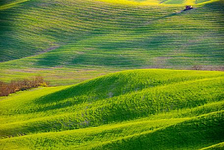 Typical Tuscan rolling landscape near Volterra, Tuscany, Italy, Europe