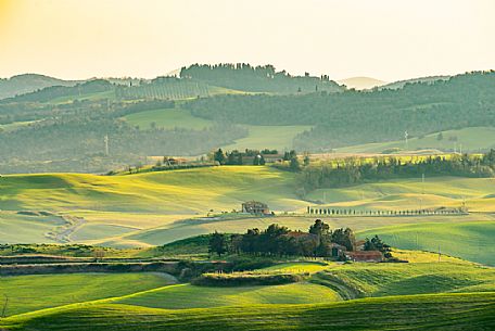 Typical Tuscan landscape near Volterra, Tuscany, Italy, Europe