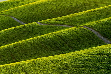 Typical Tuscan rolling landscape near Volterra, Tuscany, Italy, Europe