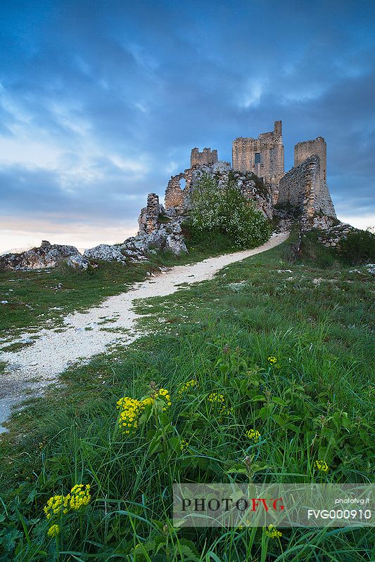 The castle of Rocca Calascio and the ruins of the old village. Spring flowers in the foreground, Gran Sasso and Monti della Laga national park