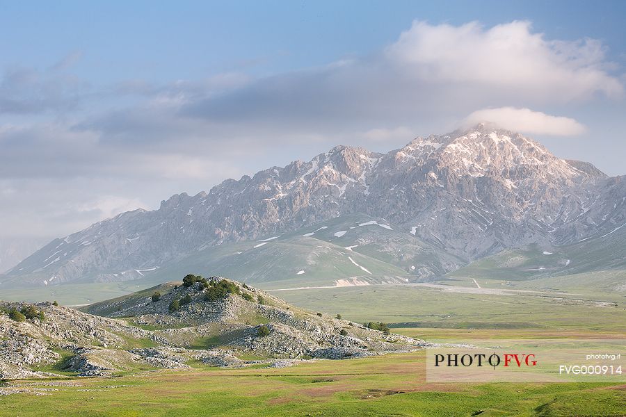 The plain of Campo Imperatore with the colors of the first blooms and Mount Prena, Gran Sasso national park