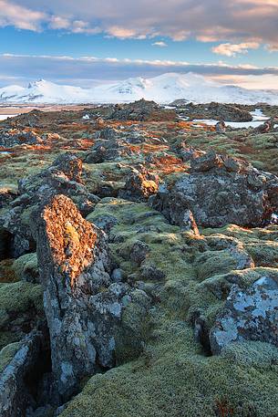 Lava fields below the Snaefell volcano