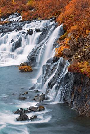Hraunfossar waterfall in warm autumn colors