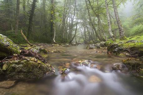 The Peschiera river flows through the trees of the The Peschiera river flows through the trees of the